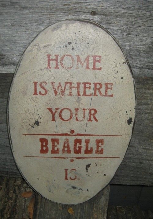 VINTAGE WOOD SIGN   HOME IS WHERE YOUR BEAGLE IS/ARE  